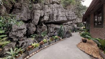 Deluxe Double Room | Room amenity