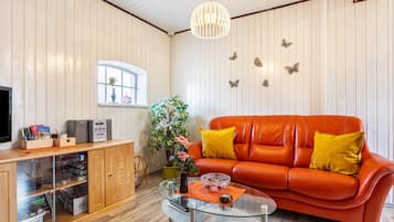 Televisor i estèreo