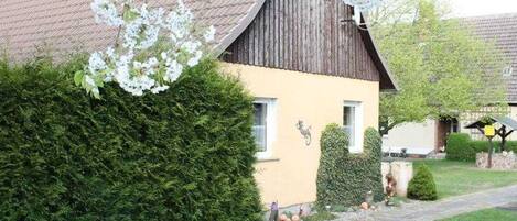 Àrea exterior de l'allotjament