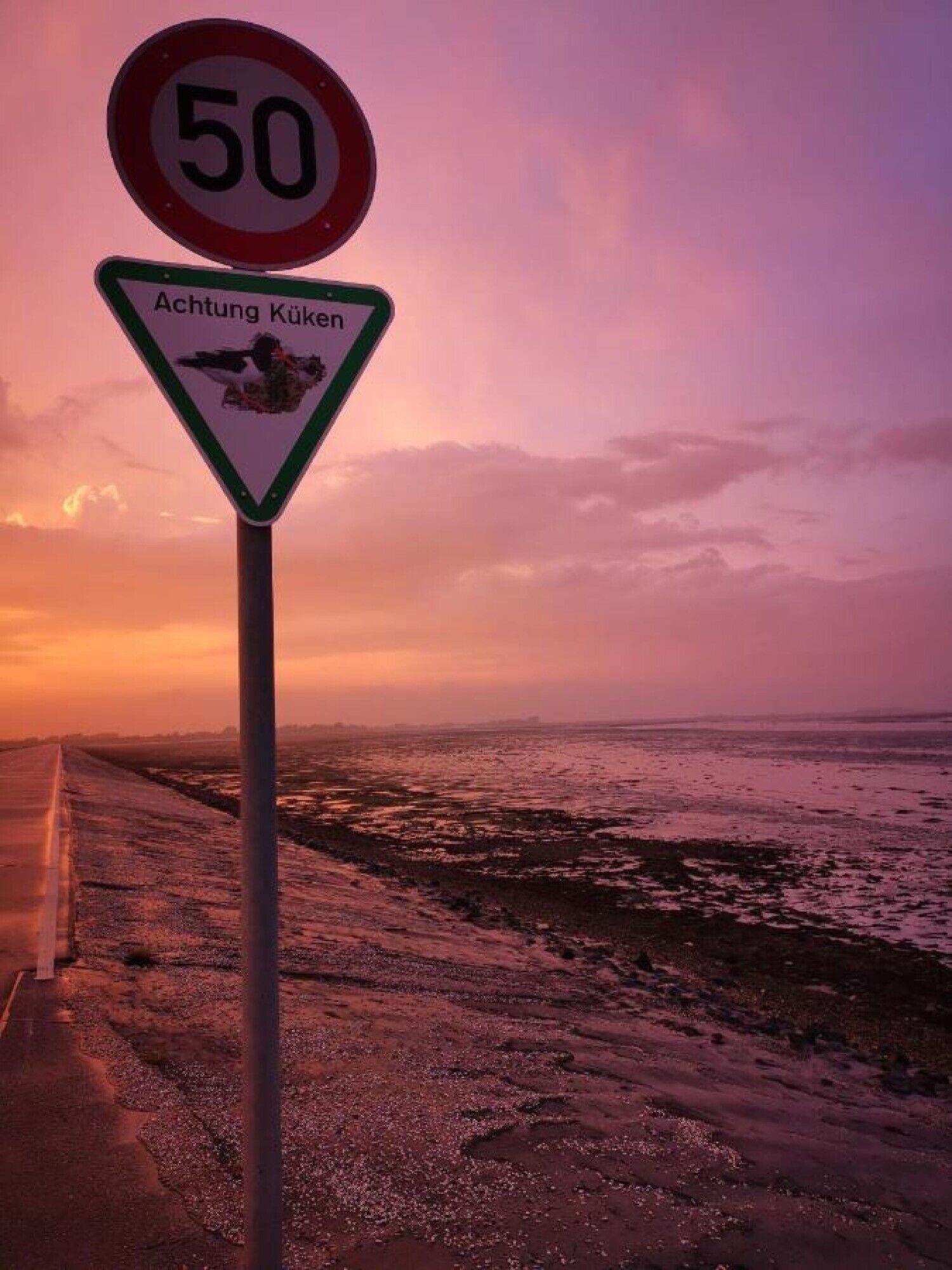 Placa de limite de velocidade de 50 e placa de advertência para Atenção, buraco.