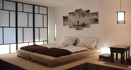 Cozy Spacious Holiday Apartment with Large Balcony, Rhine View, and Piano