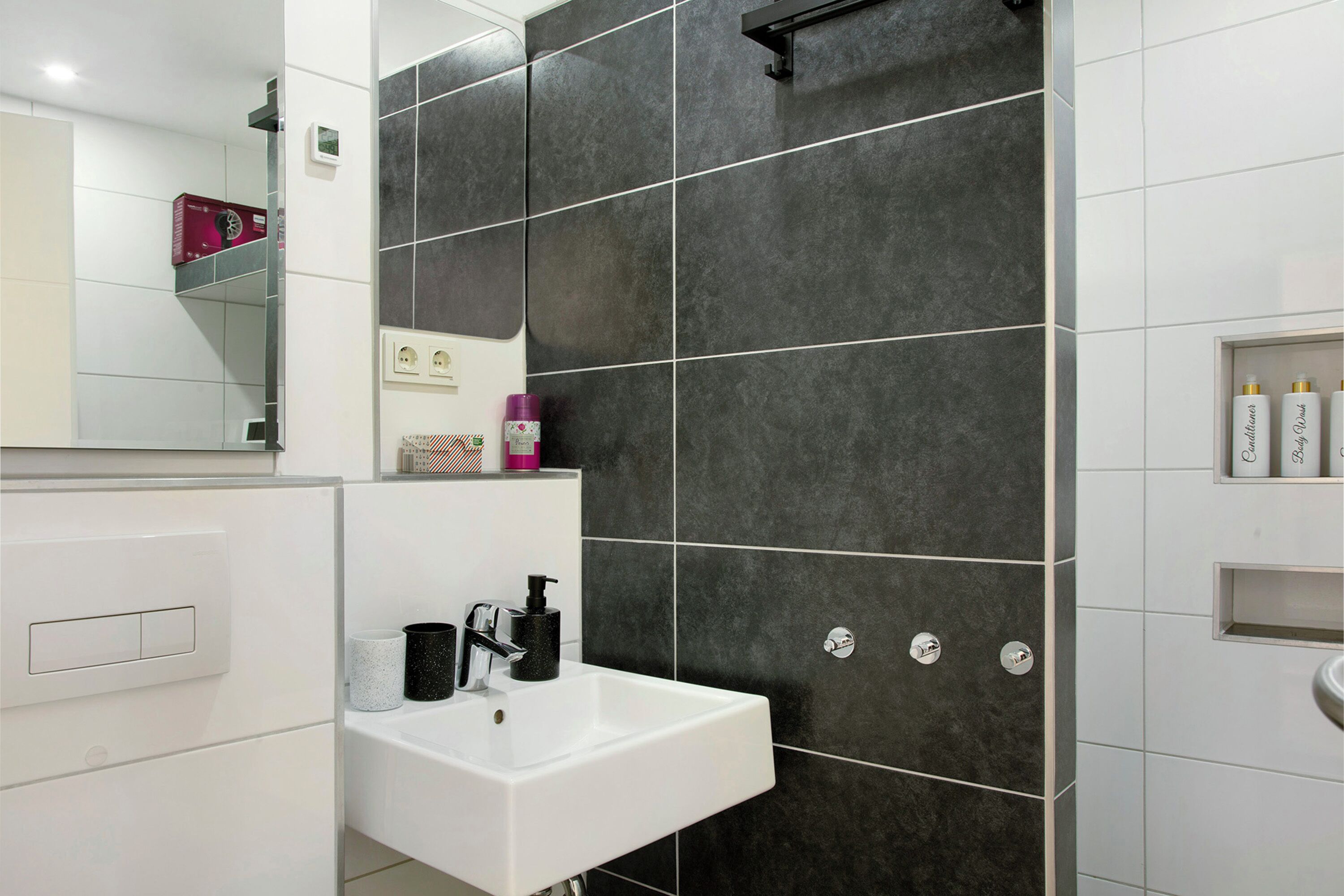 Shower, hair dryer, towels