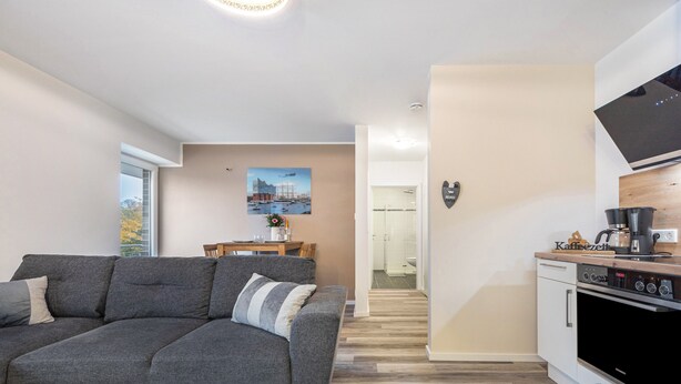 A modern living room with a grey sofa, a dining area with a wooden table, and a kitchen with a built-in oven.