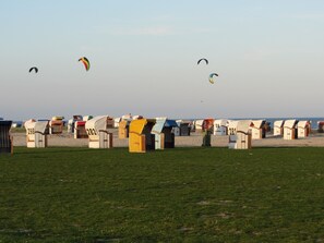 Une plage bordée de rangées de cabanes de plage numérotées, et des cerfs-volants qui volent dans le ciel.