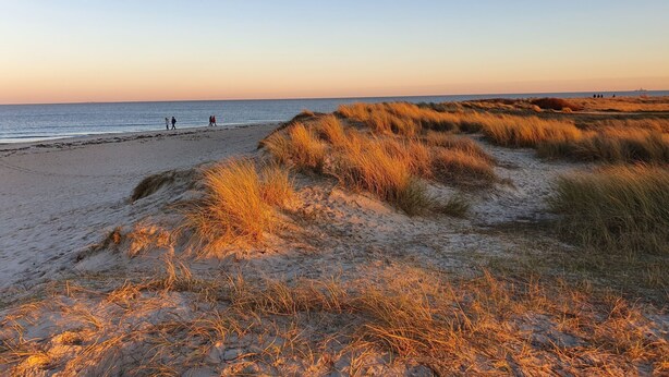 Une plage avec des dunes de sable et un ciel dégagé.