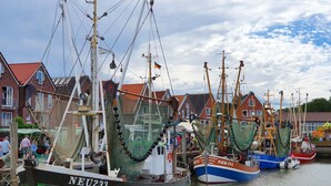Un port où sont amarrés plusieurs bateaux de pêche, un bâtiment avec un toit rouge et un ciel dégagé.