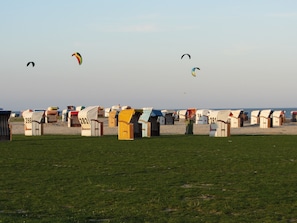 Une plage bordée de rangées de cabanes de plage numérotées, et des cerfs-volants qui volent dans le ciel.