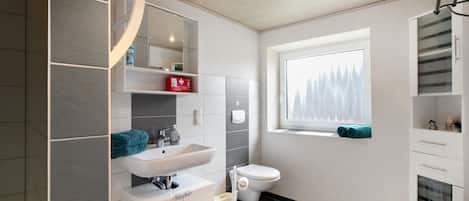 Shower, hair dryer, towels