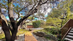 A stone pathway leading to a wooden staircase, surrounded by lush greenery and a large tree.