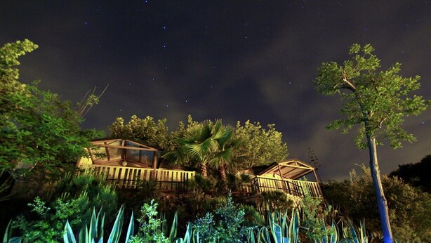 Ein Baumhaus mit Glasveranda, umgeben von üppiger Vegetation und einem Sternenhimmel.