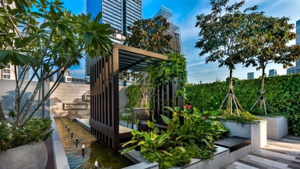 Een dakterras met een waterpartij, begroeiing en moderne architectuur.