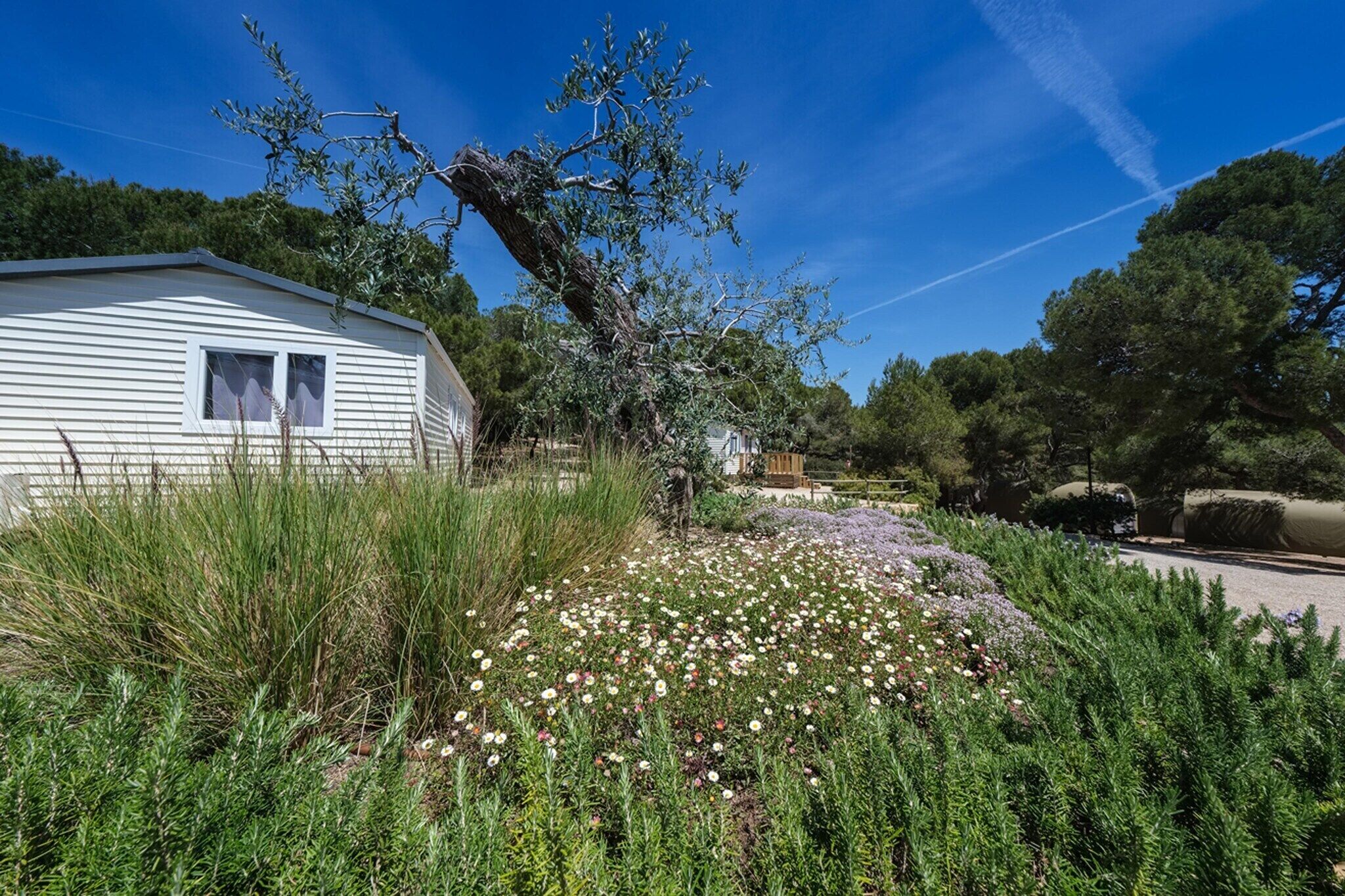 A white mobile home with a small garden in front, surrounded by trees and a clear sky.