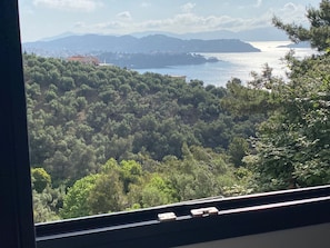 A view from a window overlooking a forested area with a body of water and distant mountains. - Room-cactus Suberb Suite With Private Po (Skiathos)