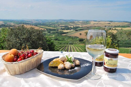 Farmhouse in Marche with Pool & Wine Tours