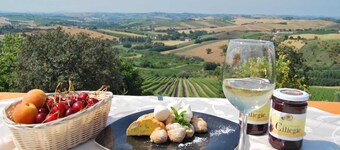 Ferme à Marche avec piscine et vins locaux