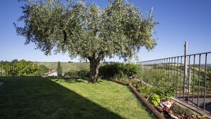 Unclassified image, 3 of 37, button - Apartment in Marche with Pool & Wine Tours (Montecarotto)