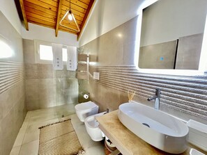 Regadera, secadora de cabello, bidet, toallas