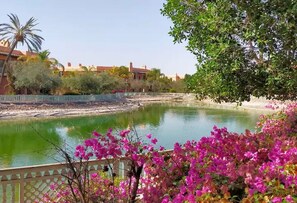 المنطقة المحيطة بالمنشأة