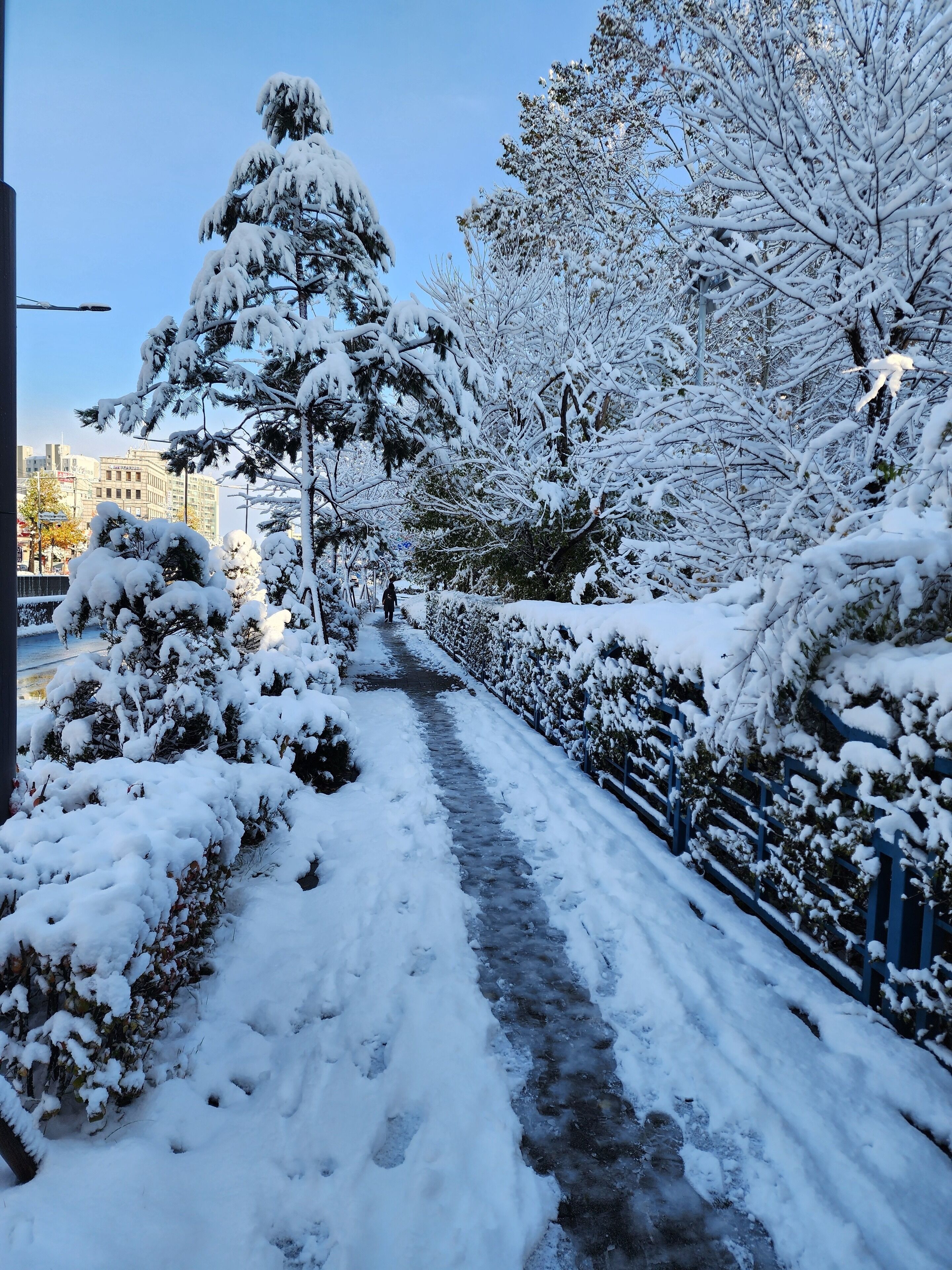 Dortoir partagé économique, vue sur la cour intérieure | Accès au Wi-Fi (inclus), literie fournie