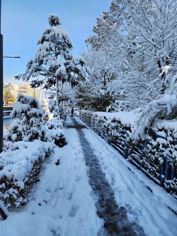 Wifi gratis y ropa de cama