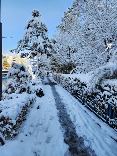 Disco PangPang GuestHouse (Foreigners only)