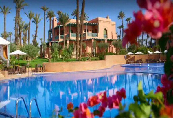 Pool - Magnificent 3 Bedroom Palmeraie (Marrakech)
