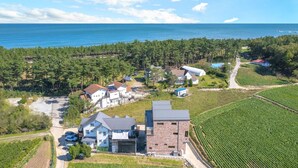 Vue aérienne d’un quartier résidentiel avec des maisons, un vignoble et une étendue d’eau en arrière-plan.
