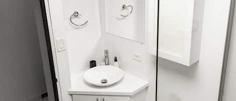 Hair dryer, towels, soap, shampoo