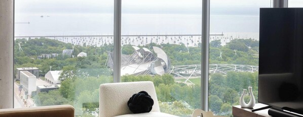 TV, stereo, offices - PH w/ Bean & Lake Views, An Elite Stay (Chicago)