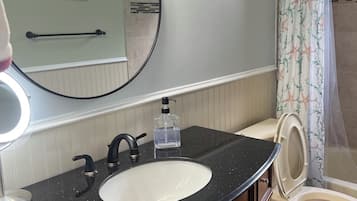 Hair dryer, bidet, towels, soap