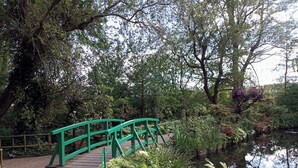 Un ponte verde che scavalca un’acqua calma, circondato da una vegetazione rigogliosa e diverse piante.