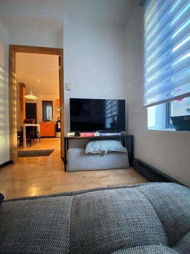 Charming 2-bedroom condo with WiFi, AC in marvelous Montréal