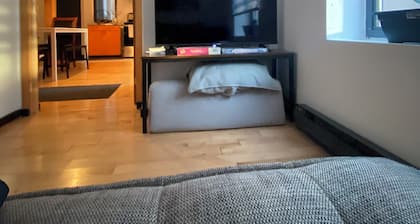 Charming 2-bedroom condo with WiFi, AC in marvelous Montréal