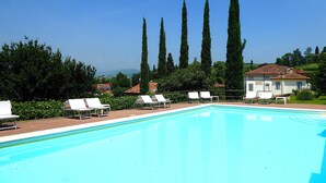 Una piscina con tumbonas, rodeada de follaje y árboles altos.
