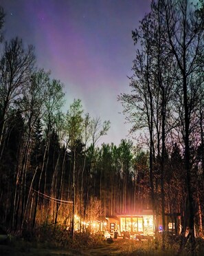 A cabin surrounded by trees with a view of the night sky.