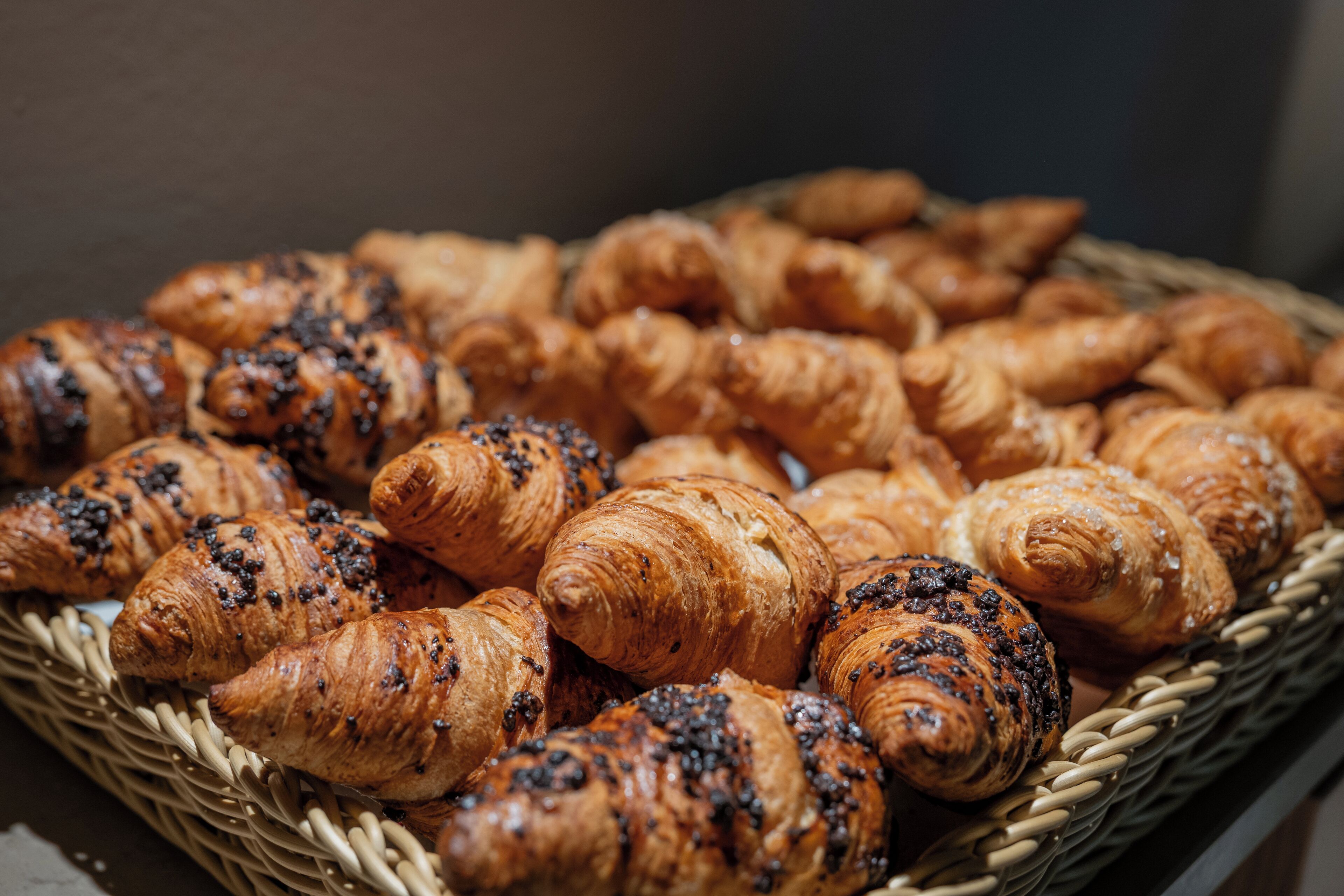 Photo - Garibaldi Palace