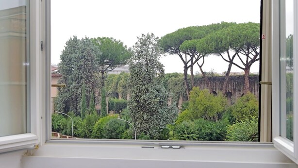 Une fenêtre donnant sur un jardin où l’on peut voir différents arbres, avec un bâtiment en arrière-plan.