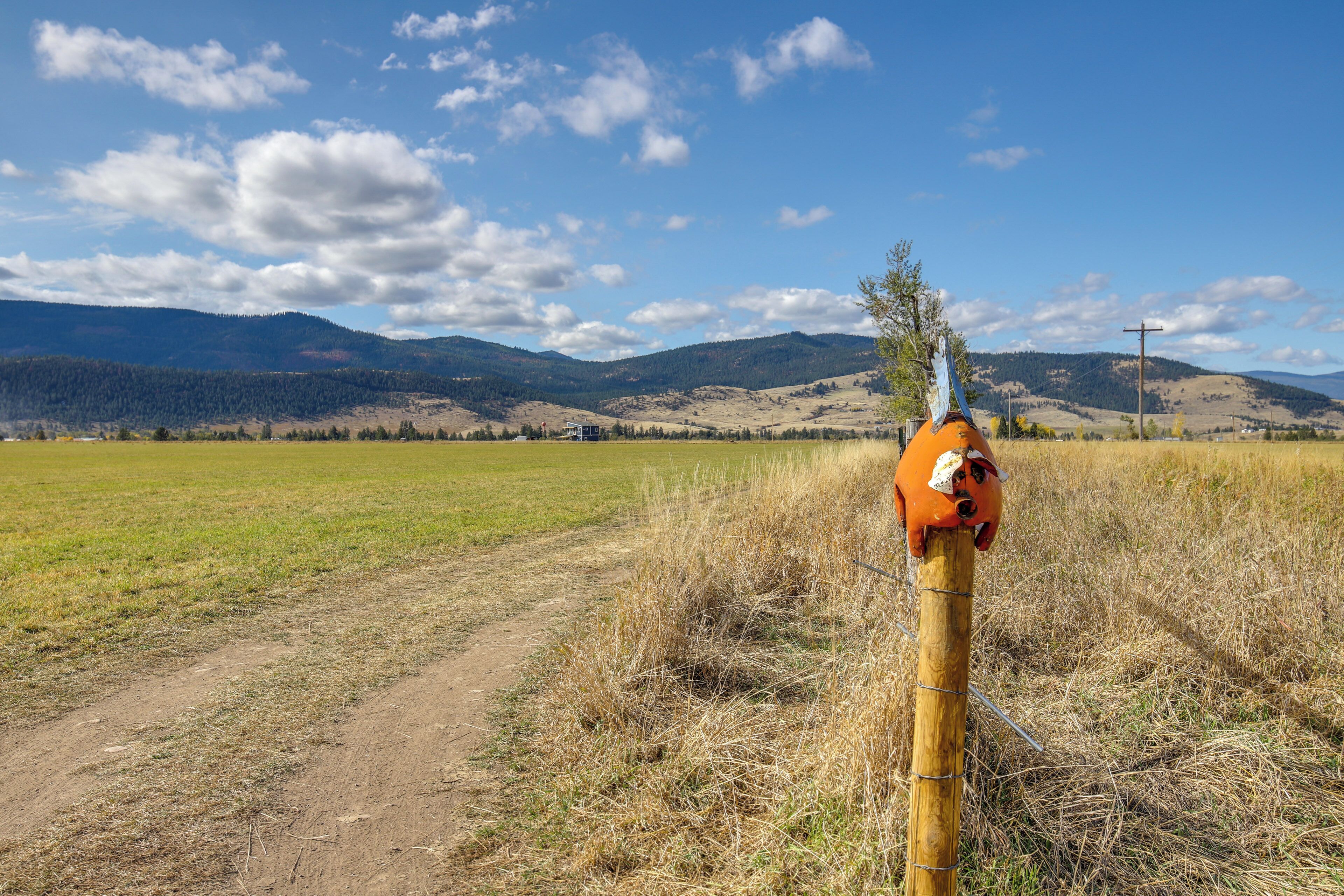 A rural landscape with a dirt path leading through a field, a wooden fence, and mountains in the background.