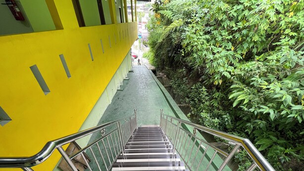 Un escalier avec des rampes en métal qui descend vers un espace verdoyant, caractérisé par un feuillage dense.
