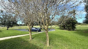 Une zone herbeuse avec des arbres et une voiture garée sur le bord d’une route.