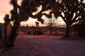 Property grounds - Know Joshua Tree 2 Bedroom Home (Yucca Valley)