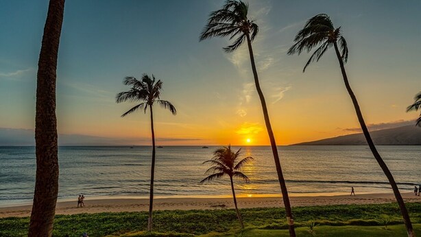 Une vue sur le coucher de soleil, avec des palmiers et une plage.