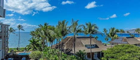 Zona residencial con vista al océano, palmeras y una piscina.