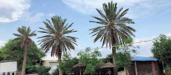 Motel El Goulla