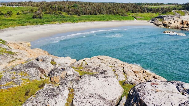 Un paisaje costero con una playa arenosa, un primer plano rocoso y un fondo boscoso.
