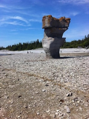 A large rock formation with a unique shape, surrounded by a rocky terrain and a forested background. - L'Escale Lam-Air (Riviere-au-Tonnerre)