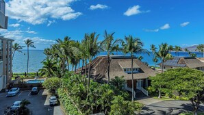 Zona residencial con vista al océano, palmeras y una casa con techo inclinado.