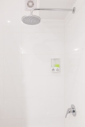 Hair dryer, soap, shampoo, toilet paper