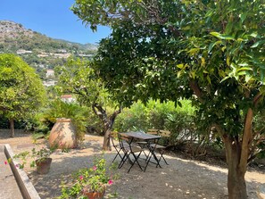 A garden with a table and chairs, surrounded by trees and plants.
