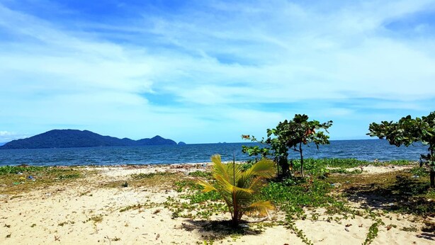 Una playa con arena, vegetación escasa y una vista despejada del océano y montañas distantes.